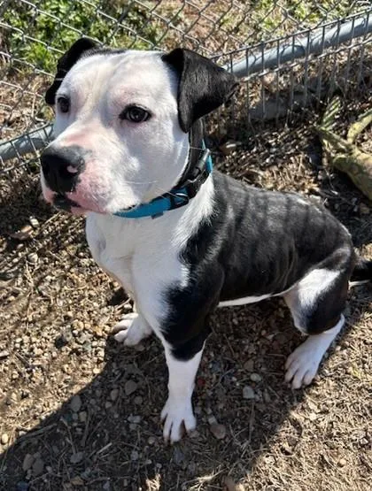 Jeter Cash thumbnail 2