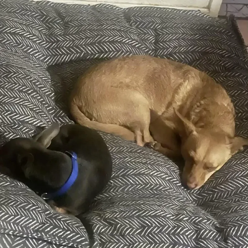 Jake & Finn thumbnail 2