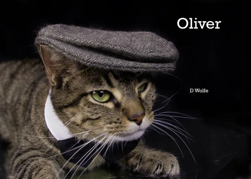 Oliver thumbnail 6
