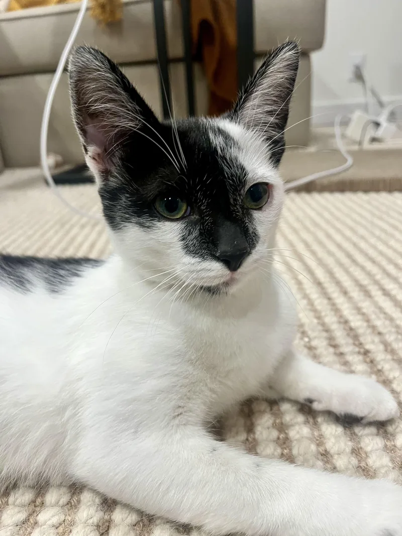 Esseboda thumbnail 2