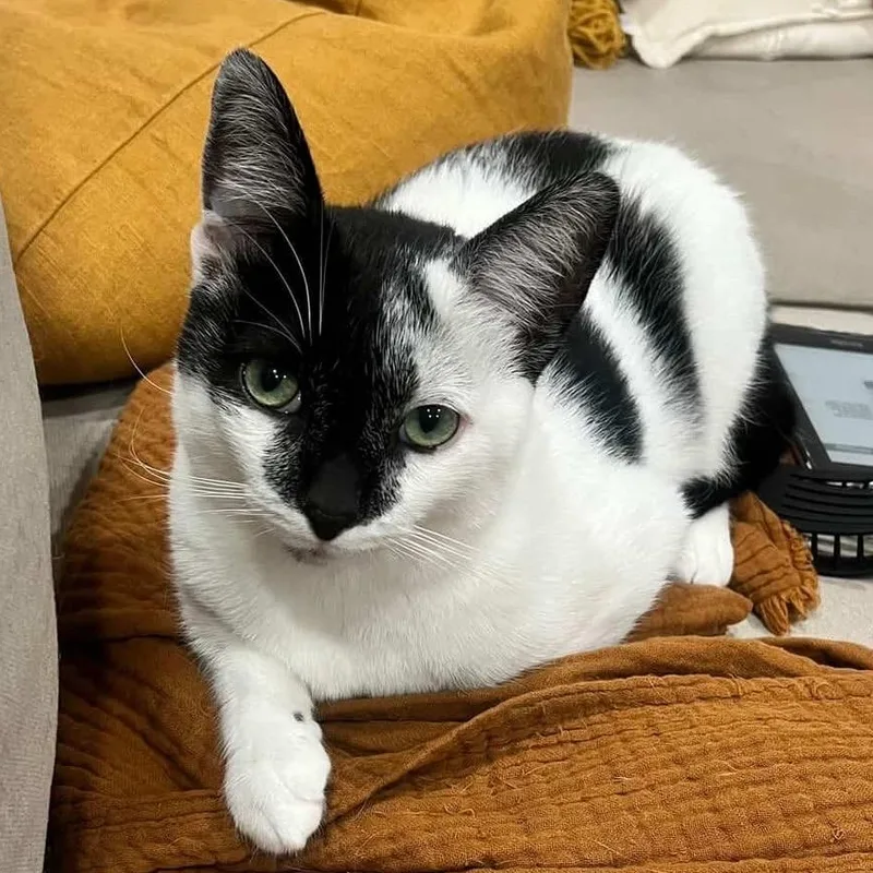 Esseboda thumbnail 3