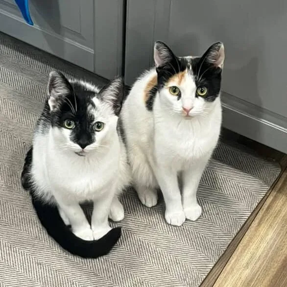 Esseboda thumbnail 4