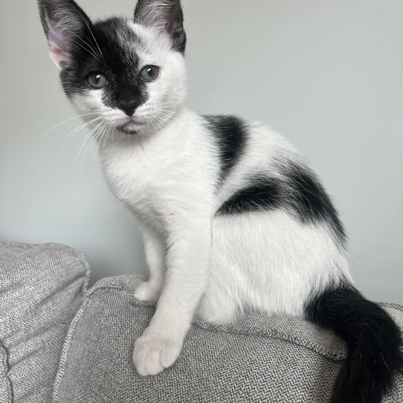 Esseboda thumbnail 5