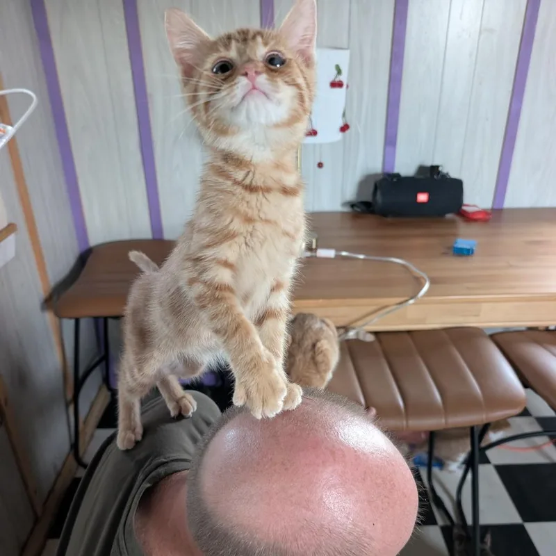 Billy thumbnail 3