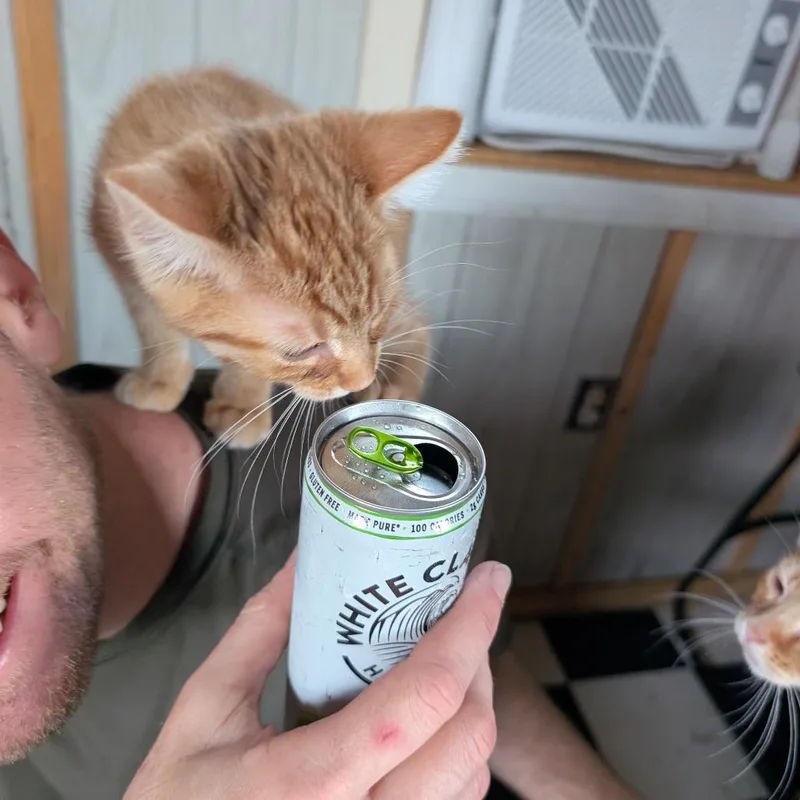 Billy thumbnail 4