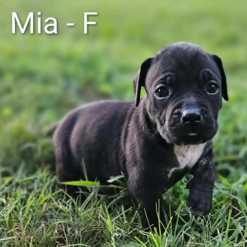 Mia thumbnail 3