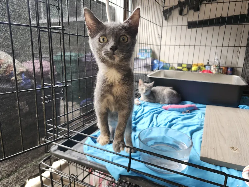 Itsy And Bitsy thumbnail 2