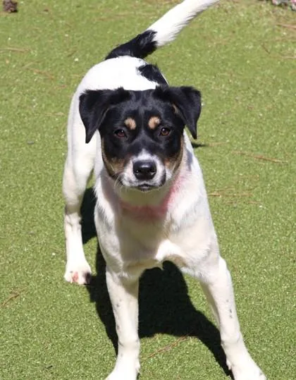 Baby Girl thumbnail 2