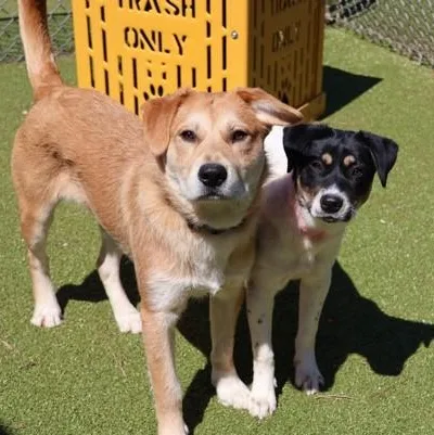 Baby Girl thumbnail 4