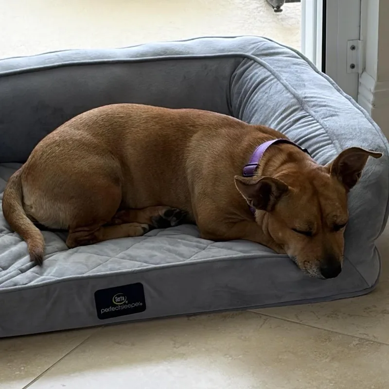 Tilly thumbnail 2