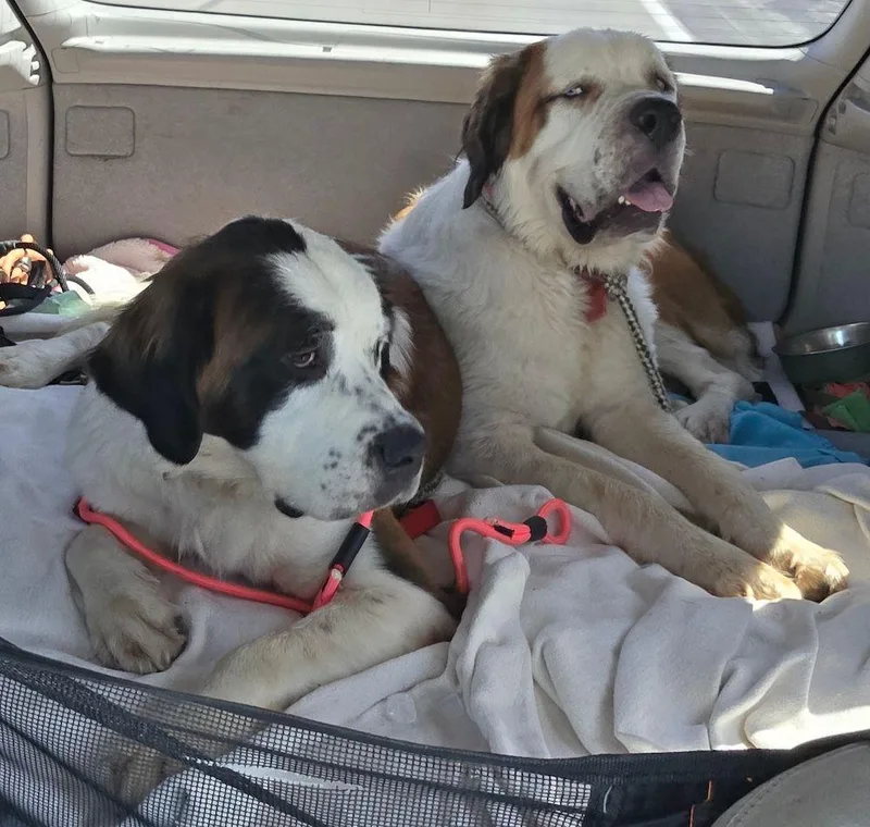 Mable  BONDED PAIR