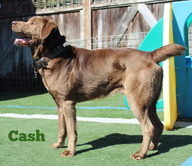 Cash thumbnail 6