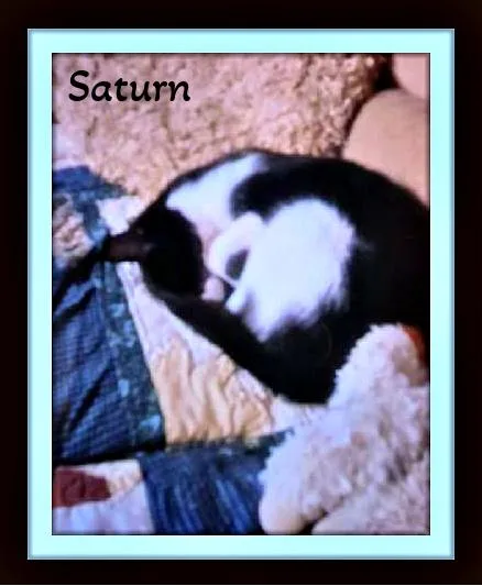 Saturn  Snuggle Buddy