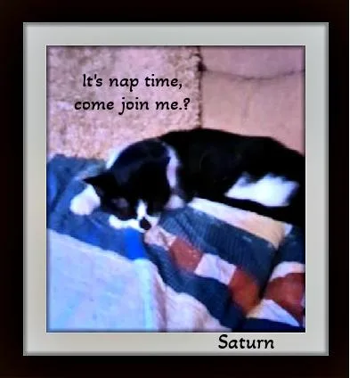 Saturn  Snuggle Buddy thumbnail 2