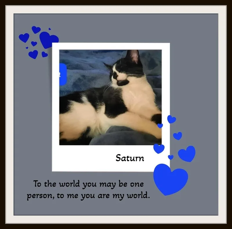 Saturn  Snuggle Buddy thumbnail 3