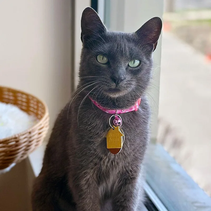 Tedeschi thumbnail 2