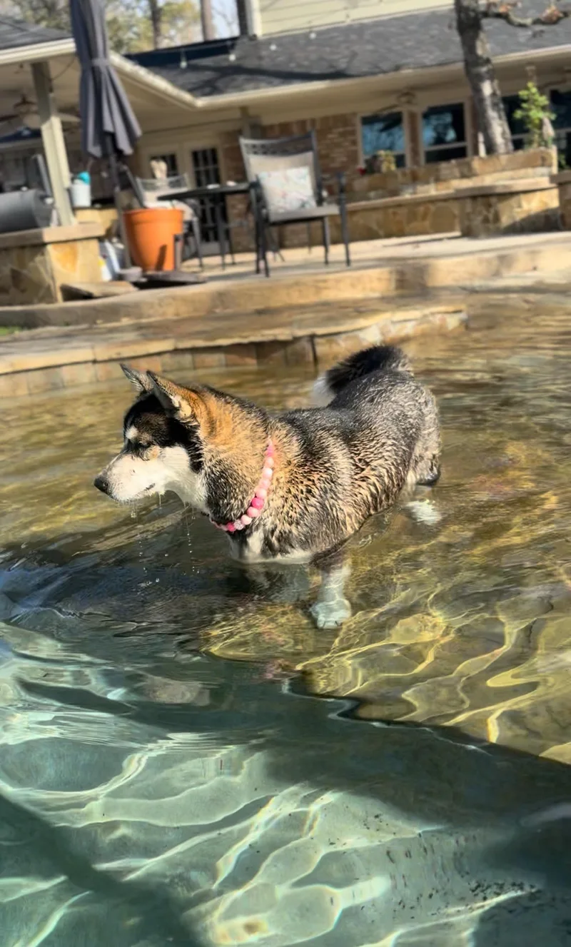 Dafne Doo thumbnail 2