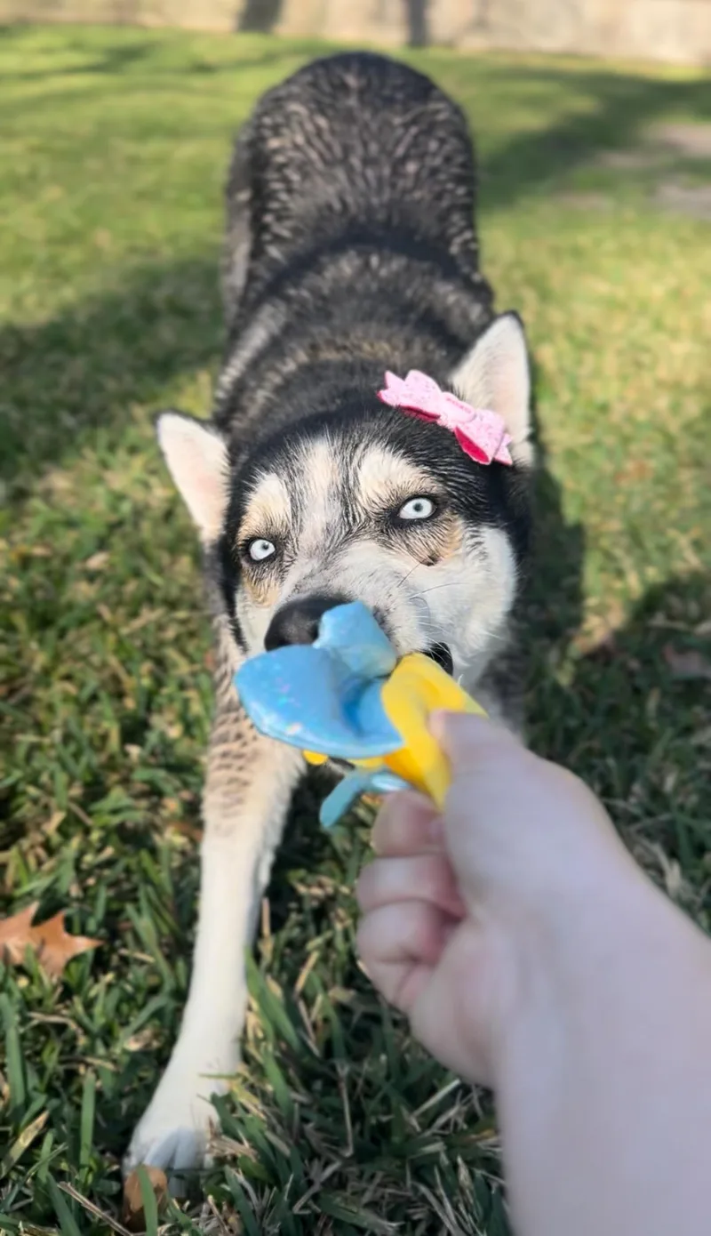 Dafne Doo thumbnail 3