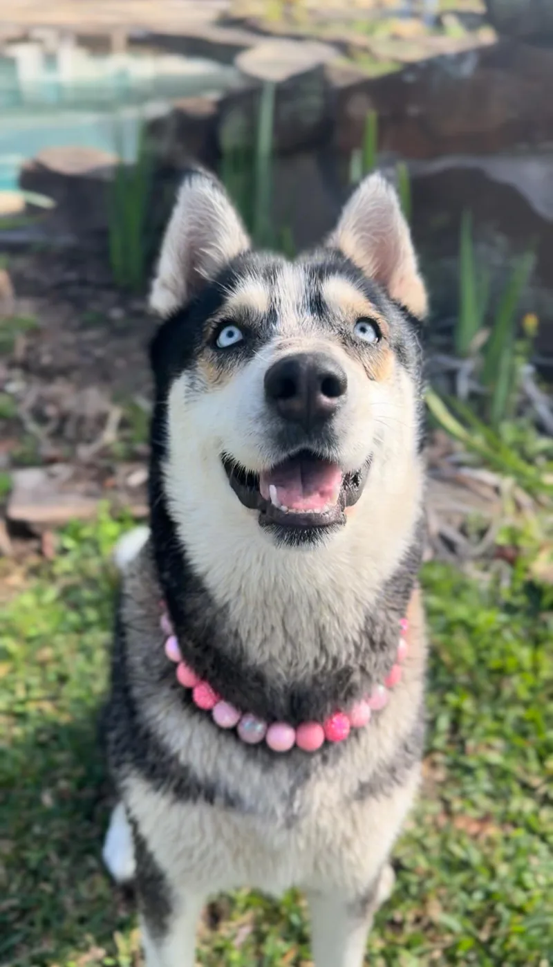 Dafne Doo thumbnail 5