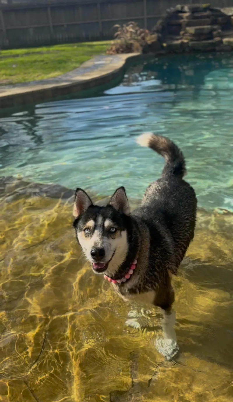 Dafne Doo thumbnail 6