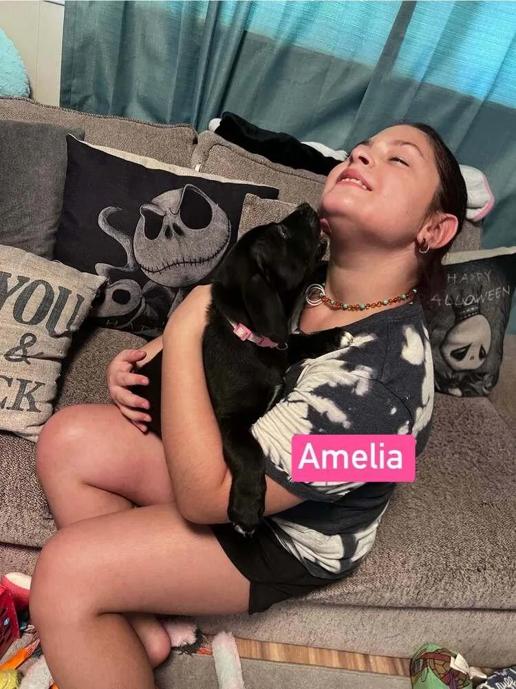 Amelia thumbnail 2