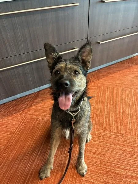 Milo