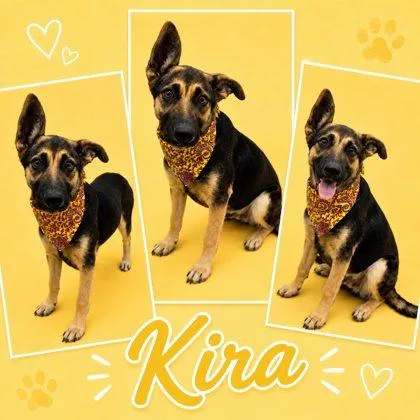 Kira