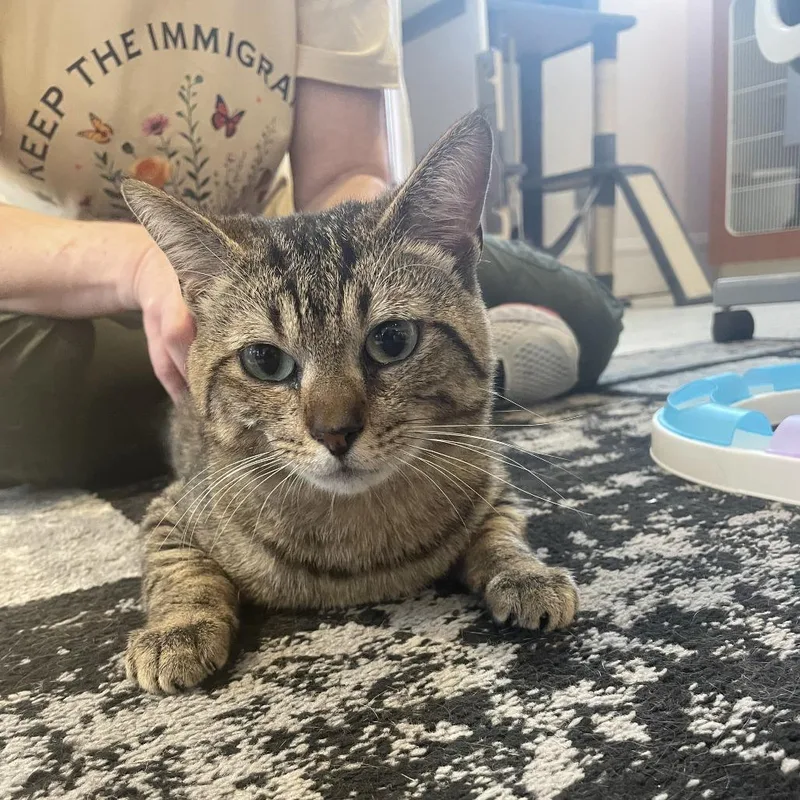 Mr. George thumbnail 3