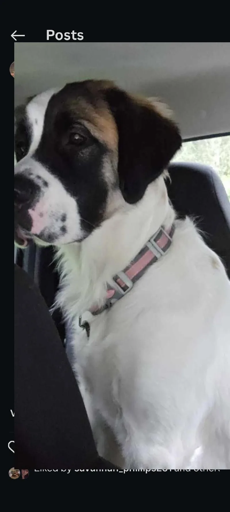 Mary Jane thumbnail 2