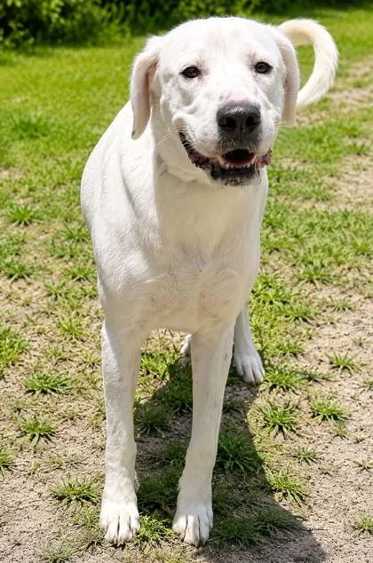 Chloe