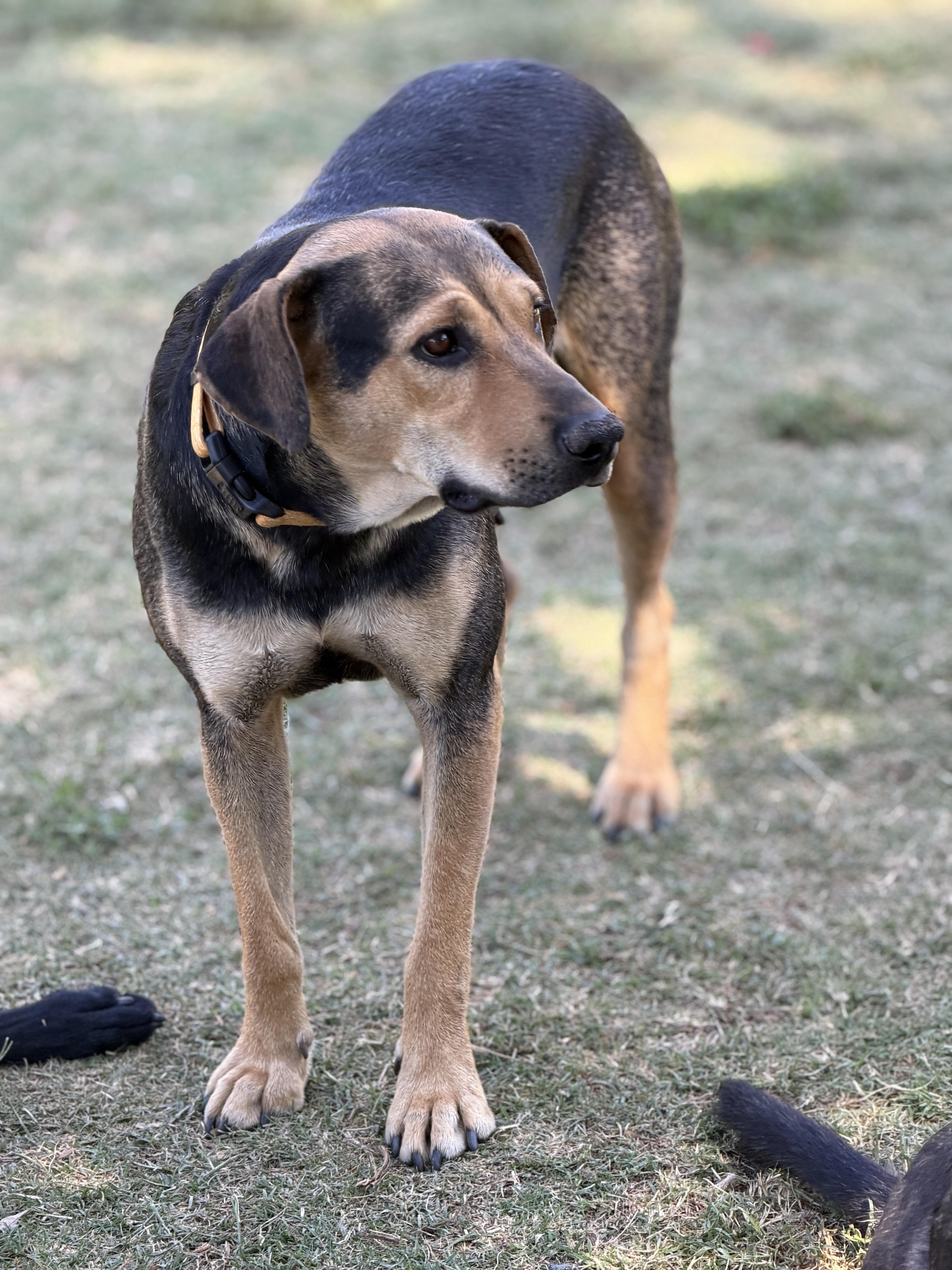 Zuri