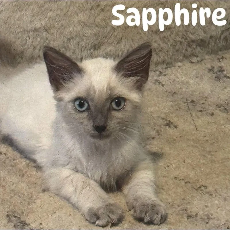 Sapphire