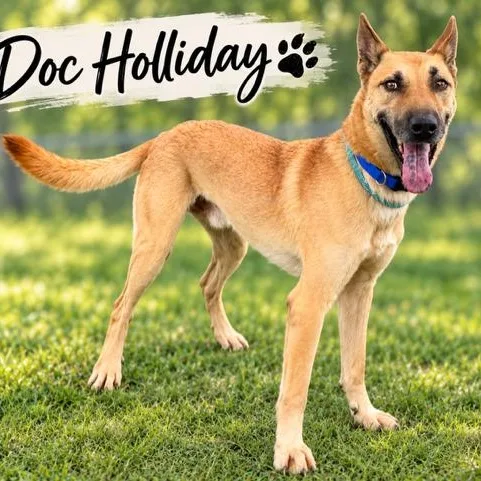 Doc Holiday thumbnail 3