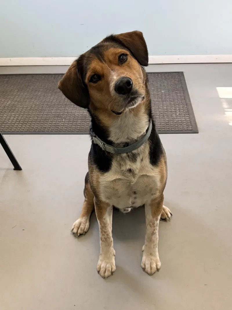 Clooney thumbnail 2