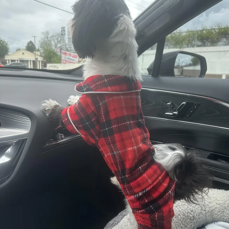 Georgie Porgie thumbnail 5