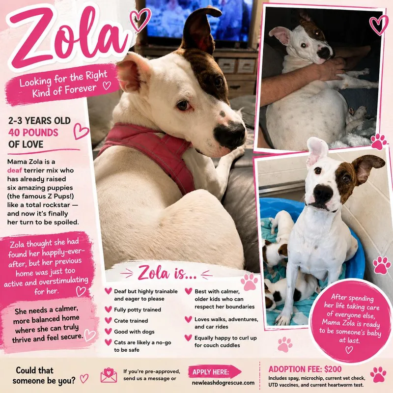 Zola thumbnail 2