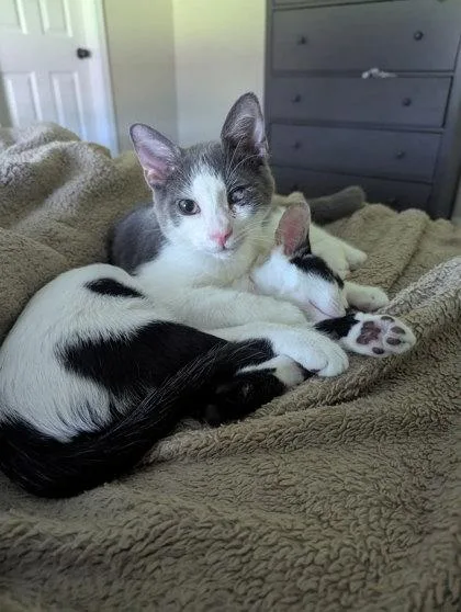 River Felix thumbnail 3