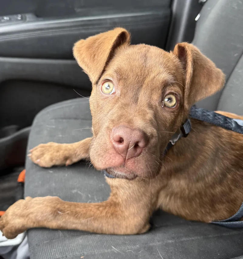 Jax Currently Enrolled In thumbnail 2