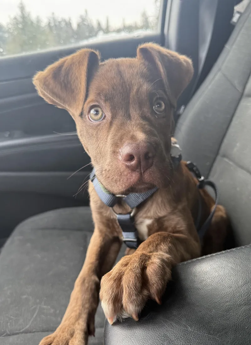 Jax Currently Enrolled In