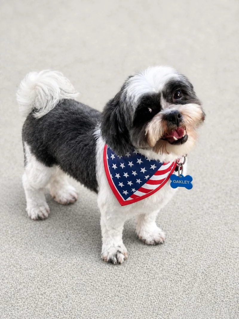 Oakleyarr thumbnail 2