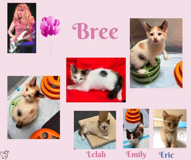 Bree thumbnail 3