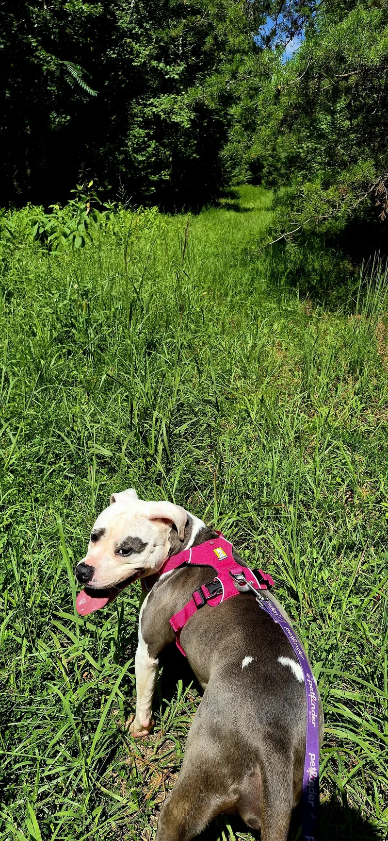 Nala thumbnail 3