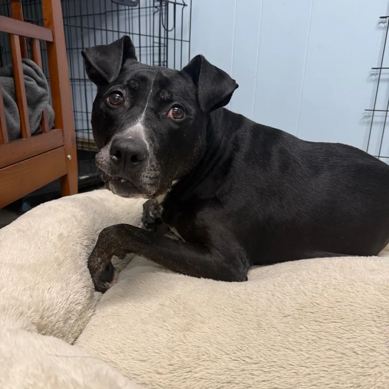 Luke & Luna thumbnail 3