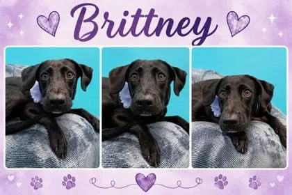 Brittney