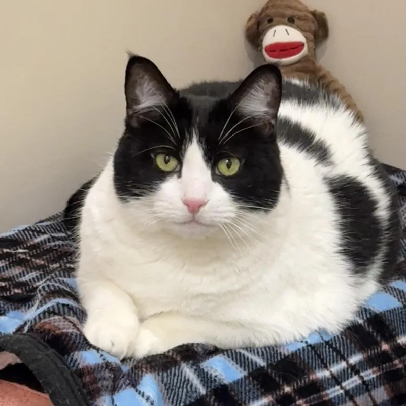 Charlotte thumbnail 2