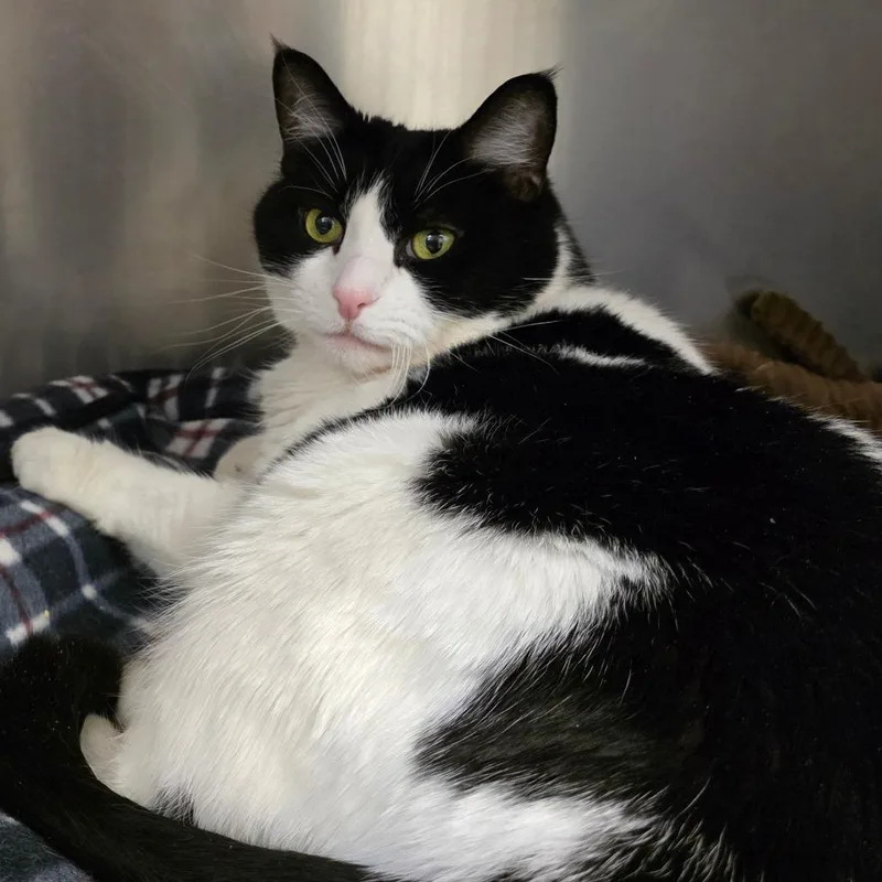 Charlotte thumbnail 3