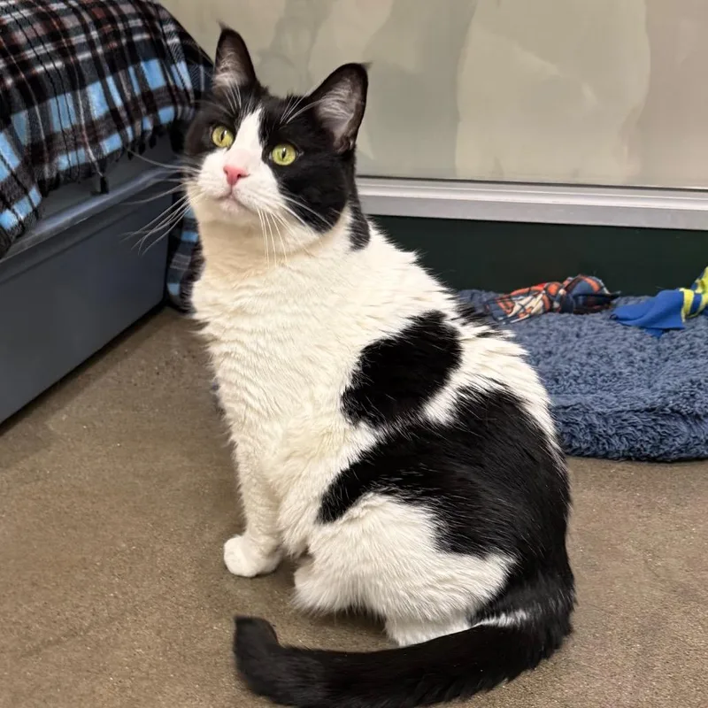 Charlotte thumbnail 4