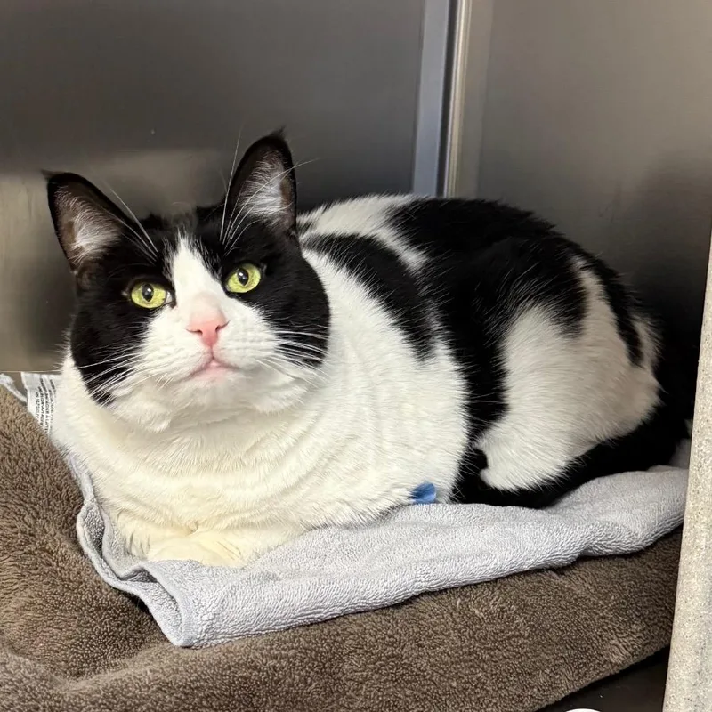 Charlotte thumbnail 5