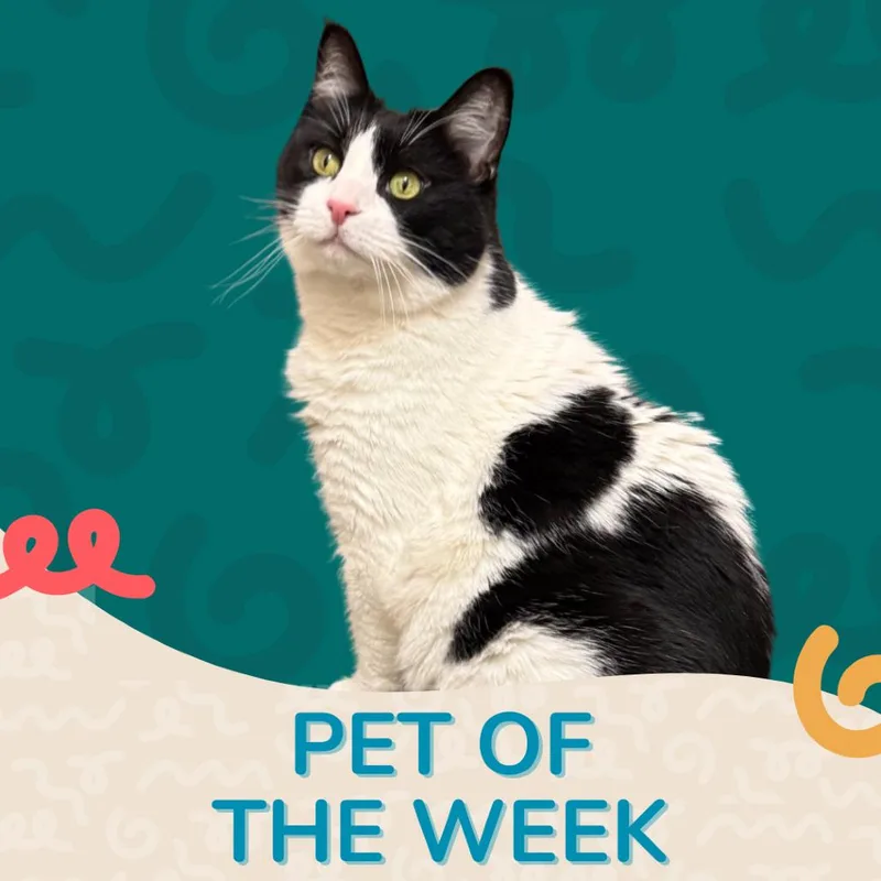 Charlotte thumbnail 6