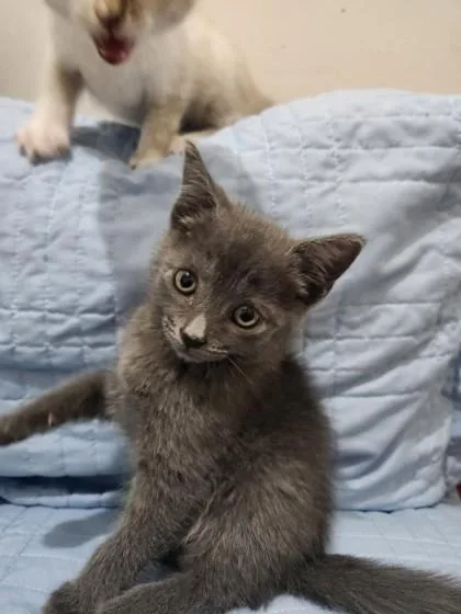 Jaspurr Stephens thumbnail 2